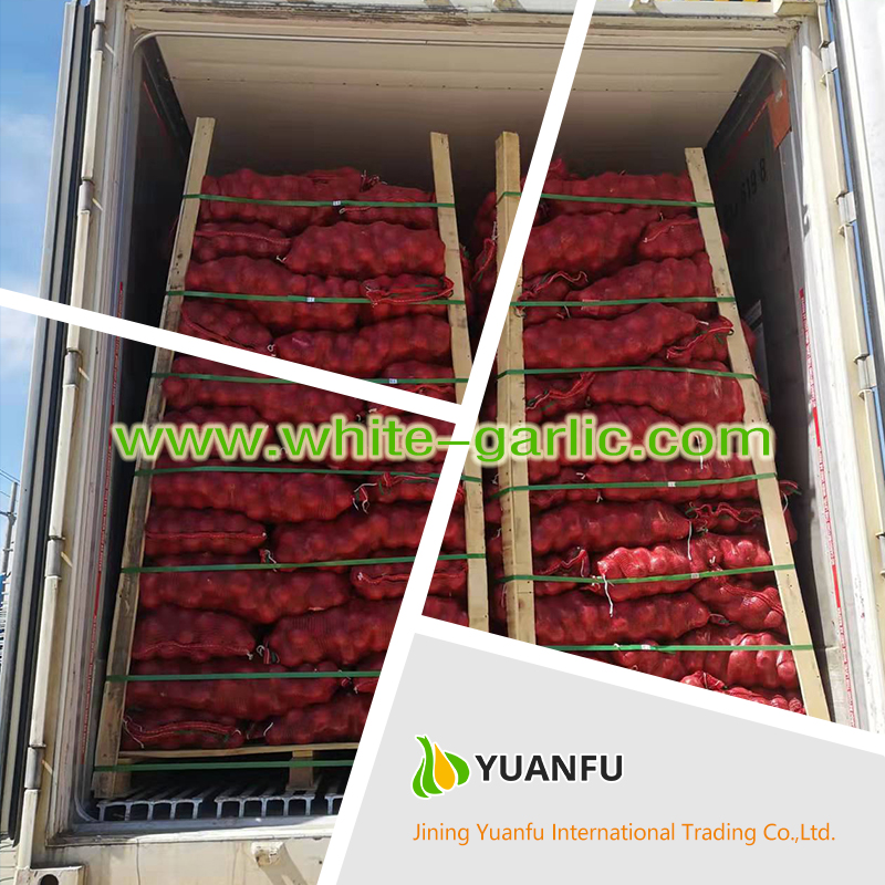garlic suppliers garlic suppliers